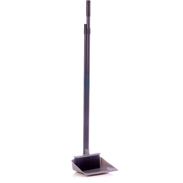 Set "Practician" floor brush with a shovel with a high handle SV3865
